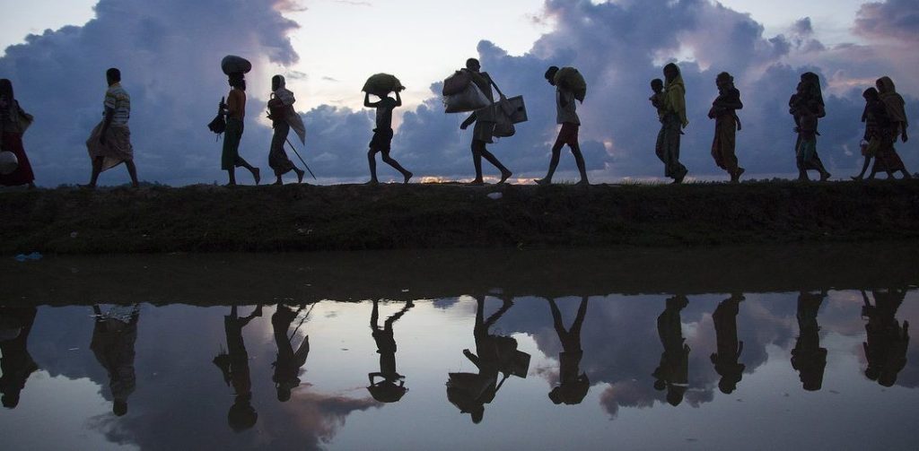 Verdades de Migración